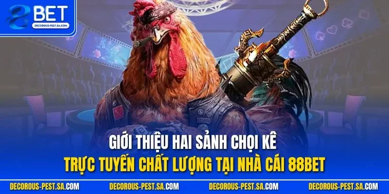 Giới thiệu hai sảnh chọi kê trực tuyến chất lượng tại nhà cái 88BET